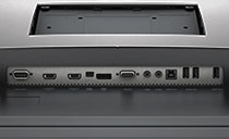 Dell P4317Q 감시자 - 사업 종류 연결성