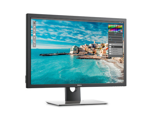 30 Inch Desktop Computer Monitor With PremierColor Dell UltraSharp UP3017 Model